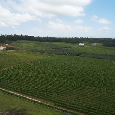 Quinta Da Fogueira Villa Anadia Eksteriør billede