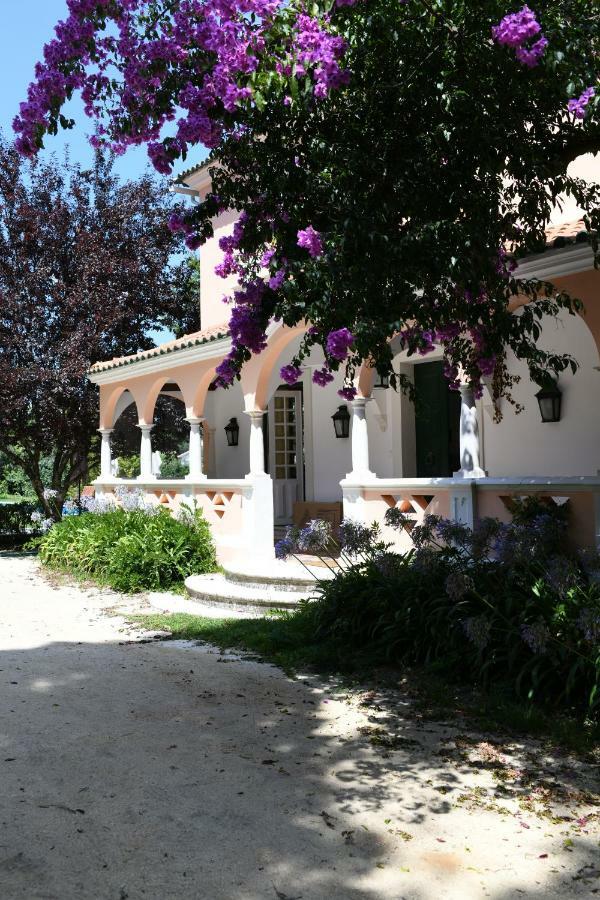 Quinta Da Fogueira Villa Anadia Eksteriør billede