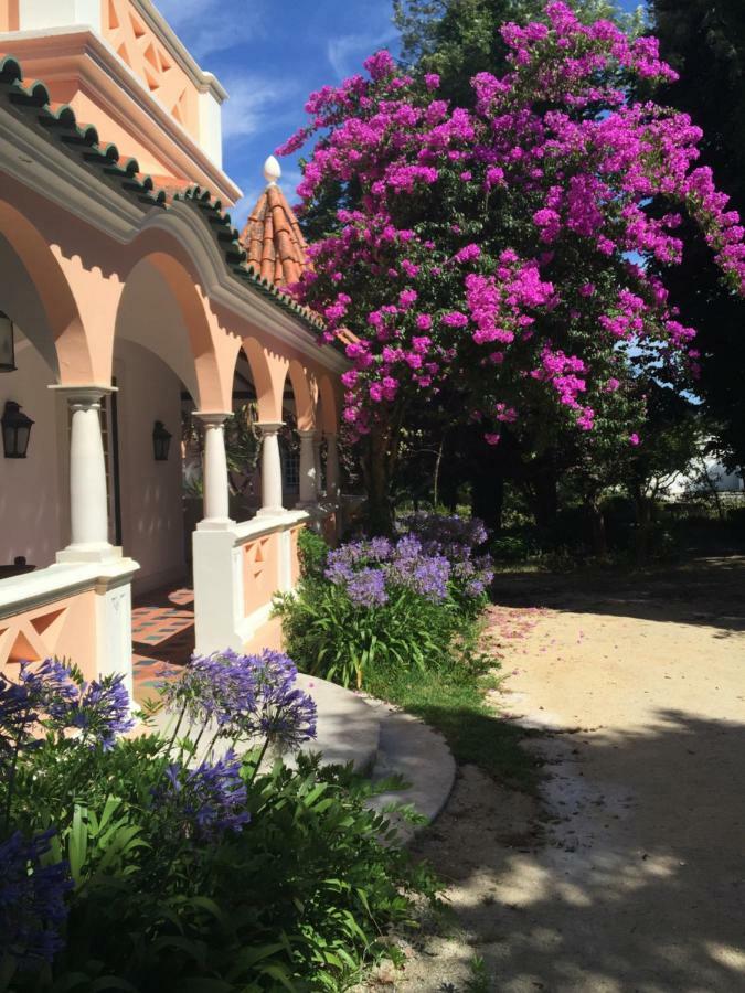 Quinta Da Fogueira Villa Anadia Eksteriør billede