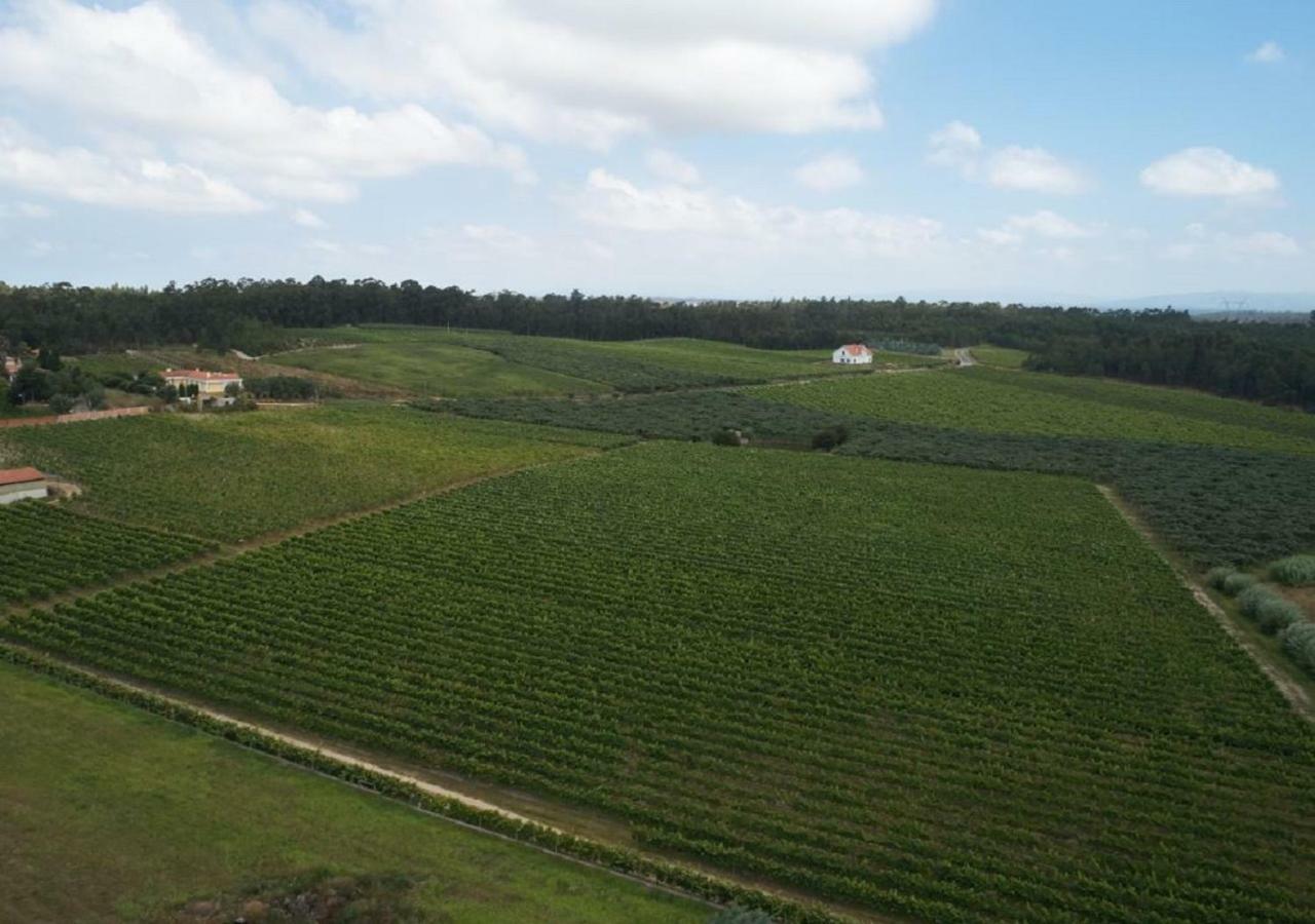 Quinta Da Fogueira Villa Anadia Eksteriør billede